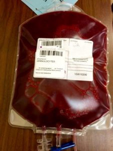 The Essentials: Granulocytes - Blood Bank Guy