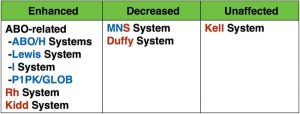 Glossary: Enzymes - Blood Bank Guy Glossary