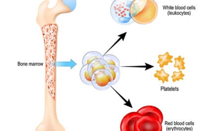 104: Essentials of Transfusion Support in HPC Transplant with Brian Adkins